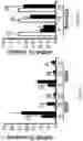 Fig. 06 - METHODS AND PHARMACEUTICAL COMPOSITIONS FOR THE TREATMENT AND THE PREVENTION OF CARDIOMYOPATHY DUE TO ENERGY FAILURE