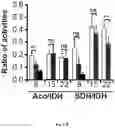 Fig. 07 - METHODS AND PHARMACEUTICAL COMPOSITIONS FOR THE TREATMENT AND THE PREVENTION OF CARDIOMYOPATHY DUE TO ENERGY FAILURE