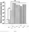 Fig. 07 - Bacteriophage-based artificial viruses for human genome remodeling