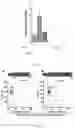 Fig. 22 - Bacteriophage-based artificial viruses for human genome remodeling