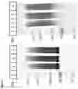 Fig. 02 - Process for the manipulation of nucleic acids