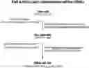 Fig. 01 - Attb cell line, transgenic cell lines derived therefrom, and methods of making the same