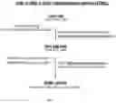 Fig. 02 - Attb cell line, transgenic cell lines derived therefrom, and methods of making the same