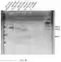 Fig. 04 - Attb cell line, transgenic cell lines derived therefrom, and methods of making the same