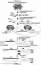 Fig. 04 - METHODS FOR THE DETECTION OF DNA-RNA PROXIMITY IN VIVO