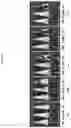 Fig. 02 - NANOVESICLES DERIVED FROM BACTERIA OF GENUS DEINOCOCCUS, AND USE THEREOF