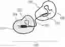Fig. 01 - DETECTION METHOD FOR A TARGET NUCLEIC ACID AND KIT