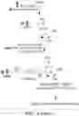 Fig. 07 - Methods of Epigenetic Analysis