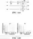 Fig. 22 - Methods of Epigenetic Analysis