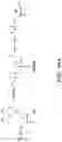 Fig. 41 - Methods of Epigenetic Analysis