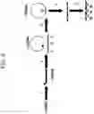 Fig. 07 - Methods, systems, and compositions for counting nucleic acid molecules