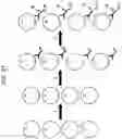 Fig. 22 - Methods, systems, and compositions for counting nucleic acid molecules