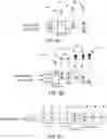 Fig. 07 - FLUORESCENT IN-SITU HYBRIDIZATION IMAGING USING MULTIPLEXED FLUORESCENT SWITCHING