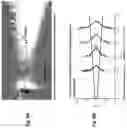 Fig. 09 - Focused rotary jet spinning devices and methods of use thereof
