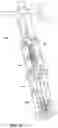Fig. 09 - Railroad spike remover