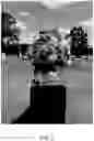 Fig. 06 - Flower arrangement with solar lights