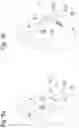 Fig. 07 - FIREARM