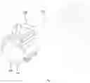 Fig. 07 - FLASHLIGHT LEVER CLAMP