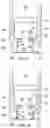 Fig. 06 - PRIMER INSERT HAVING A PRIMER POCKET GROOVE