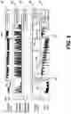 Fig. 07 - Fuel level measurement system for a machine