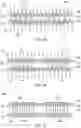 Fig. 06 - Stretchable bidirectional capacitive pressure sensor and method of use