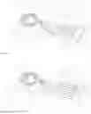 Fig. 22 - Method of Detecting an Infection Using Negative Sorting