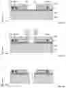 Fig. 10 - Optical particle detector and method of manufacturing the same