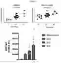 Fig. 04 - ANALYSIS OF POLYMORPHISMS IN SIRP-ALPHA FOR EVALUATING RESPONSE TO IMMUNOTHERAPY