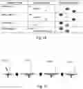 Fig. 19 - METHOD AND APPARATUS FOR DETECTING TARGET CHEMICALS WITH TRANSPARENT INDICATOR TAPE