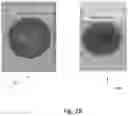 Fig. 30 - METHOD AND APPARATUS FOR DETECTING TARGET CHEMICALS WITH TRANSPARENT INDICATOR TAPE