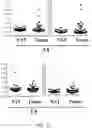 Fig. 09 - CANCER DETECTION UTILIZING NORMAL TISSUE ADJACENT TO BREAST TUMORS WITH GENETIC ANCESTRY-MAPPING
