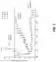 Fig. 02 - CIRCULATING TUMOR CELL DIAGNOSTICS FOR IDENTIFICATION OF RESISTANCE TO ANDROGEN RECEPTOR TARGETED THERAPIES