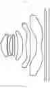 Fig. 02 - Camera optical lens