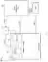 Fig. 02 - Time domain multiply and accumulate system