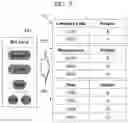 Fig. 06 - Method and system for selectively separating organization data according to business division