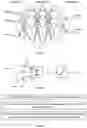 Fig. 02 - NEURAL NETWORK SELECTION