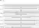 Fig. 01 - Utilizing machine learning models and captured video of a vehicle to determine a valuation for the vehicle