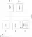 Fig. 63 - SYSTEMS AND METHODS FOR AUDITING CASH