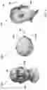 Fig. 04 - Camera reprojection for faces