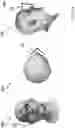 Fig. 06 - Camera reprojection for faces
