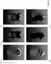 Fig. 08 - Camera reprojection for faces