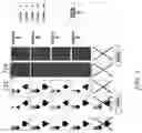 Fig. 09 - Method and system for conducting a game of chance