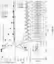 Fig. 32 - SYSTEMS AND METHODS FOR IMPROVED SUSTAINMENT OF A HIGH PERFORMANCE FRC PLASMA AT ELEVATED ENERGIES UTILIZING NEUTRAL BEAM INJECTORS WITH TUNABLE BEAM ENERGIES