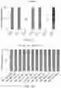 Fig. 08 - METHODS FOR ANALYZING A TISSUE SAMPLE