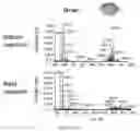 Fig. 63 - METHODS FOR ANALYZING A TISSUE SAMPLE