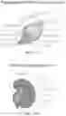 Fig. 85 - METHODS FOR ANALYZING A TISSUE SAMPLE