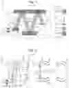 Fig. 02 - Multi-pass mass spectrometer