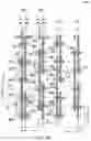 Fig. 17 - Method of forming power grid structures