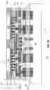 Fig. 17 - Direct bonding in microelectronic assemblies