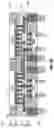 Fig. 22 - Direct bonding in microelectronic assemblies
